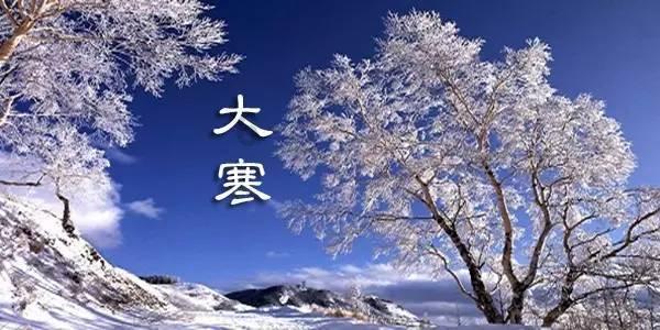 救援可爱小猪仔